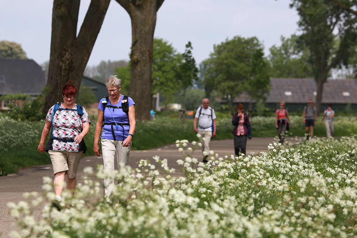 Vierdaagse Alblasserwaard